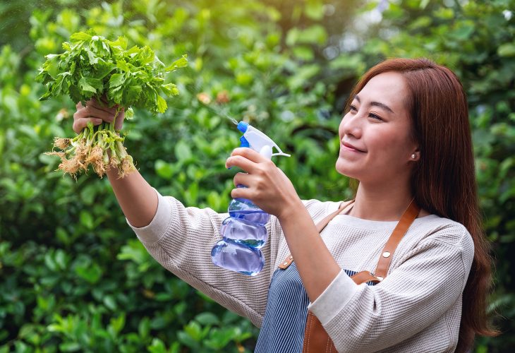 Lady landscaper spraying celery